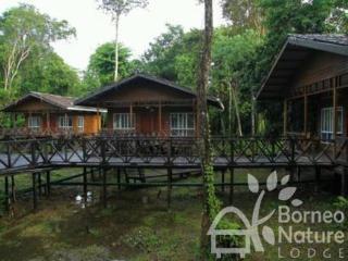 Borneo Nature Lodge SDK Buitenkant foto